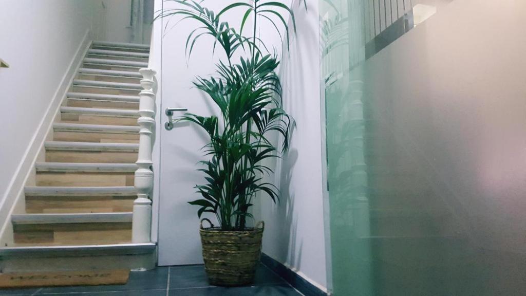 בריסל Cozy Rooms With Share The Bathroom And Kitchen מראה חיצוני תמונה